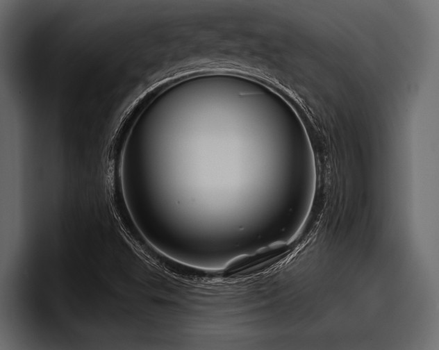 X0000097951503200803241143