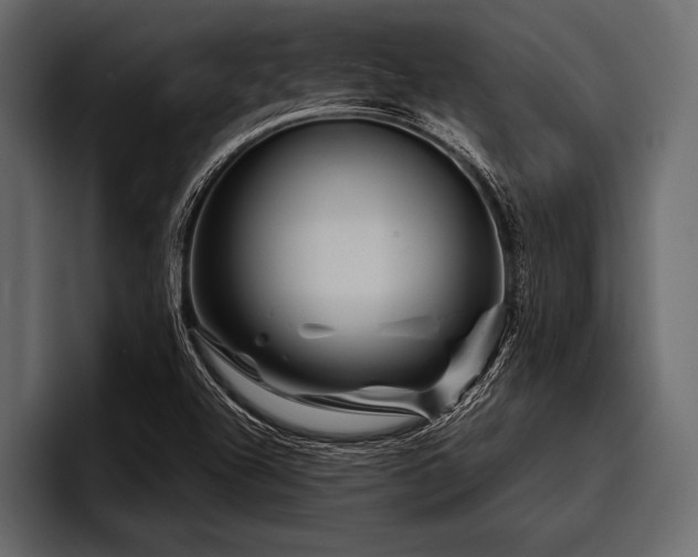 X0000097951504200803241143