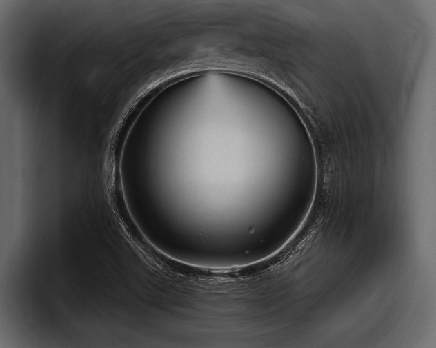 X0000097951507200803241143