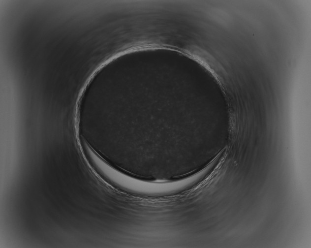 X0000097951508200803241143