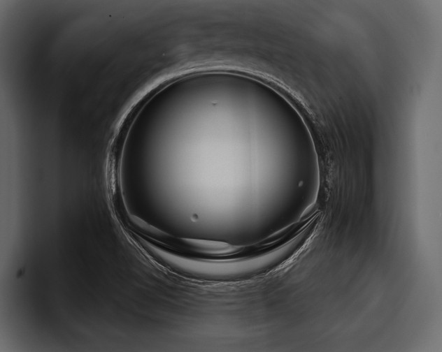 X0000097951510200803241143