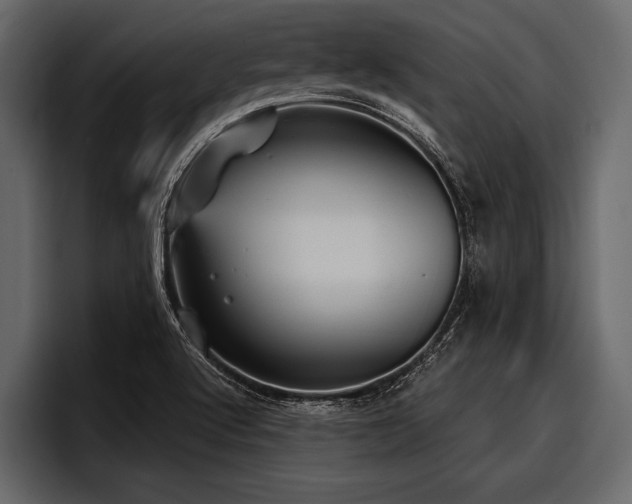 X0000097951512200803241143