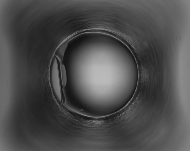 X0000097951513200803241143