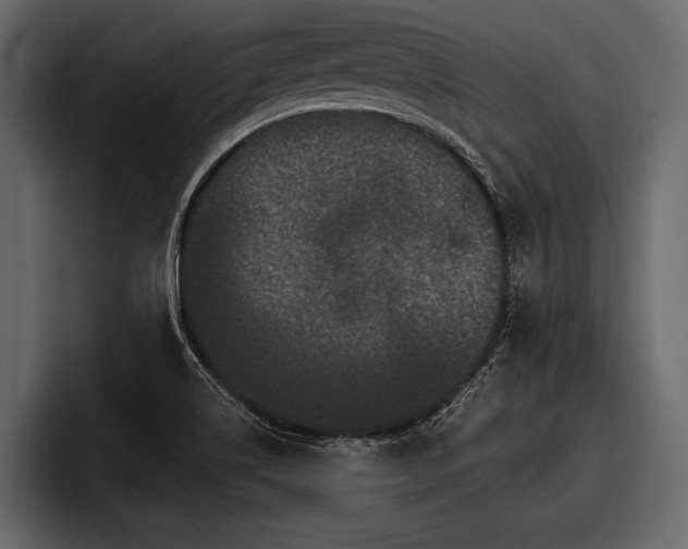 X0000097951514200803241143