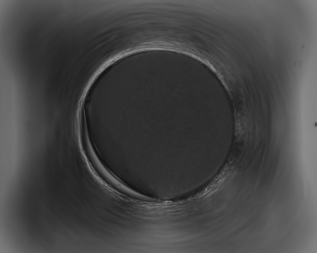 X0000097951515200803241143