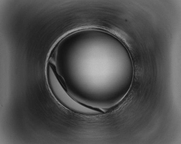 X0000097951516200803241143