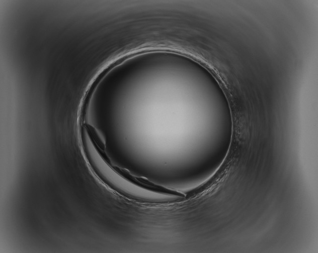 X0000097951519200803241143