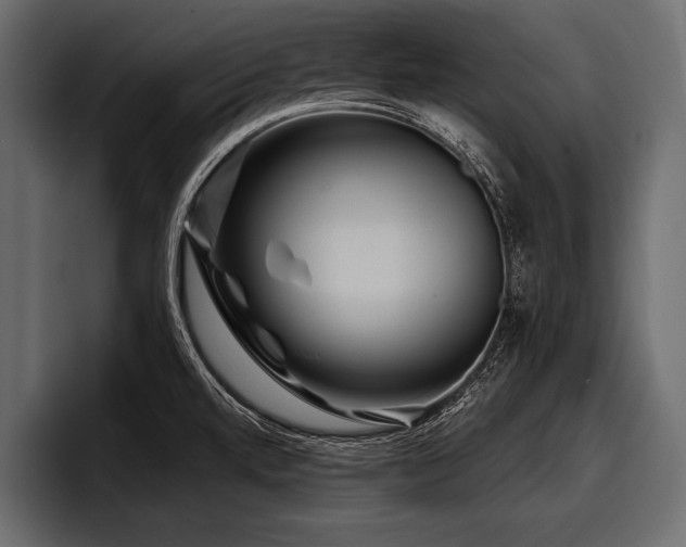 X0000097951520200803241143