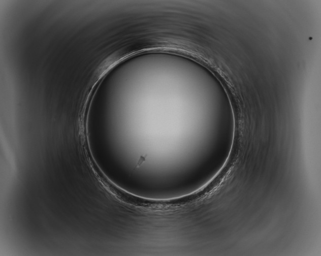 X0000097951521200803241143