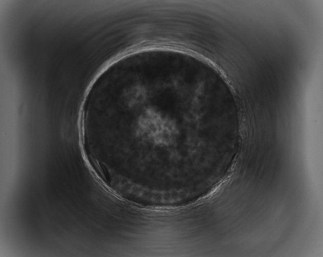 X0000097951522200803241143