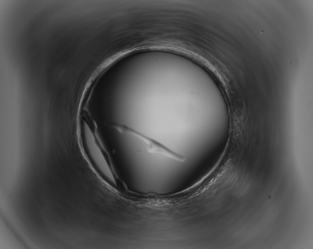 X0000097951525200803241143