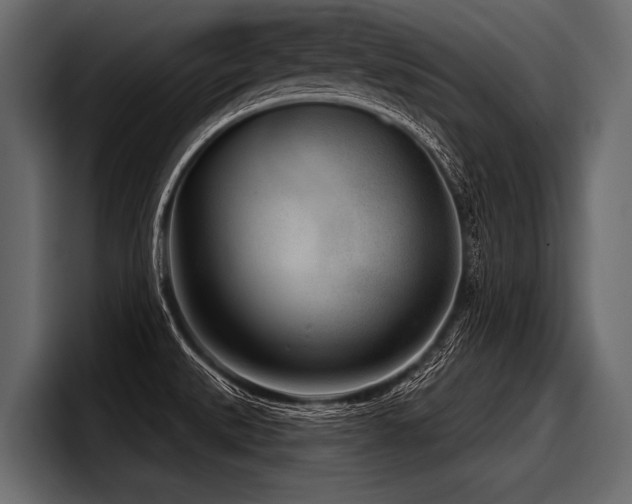 X0000097951527200803241143