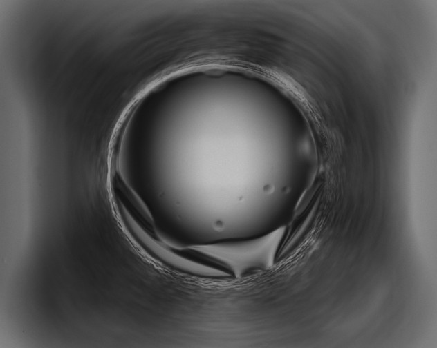 X0000097951528200803241143
