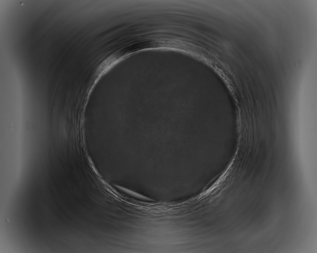 X0000097951529200803241143