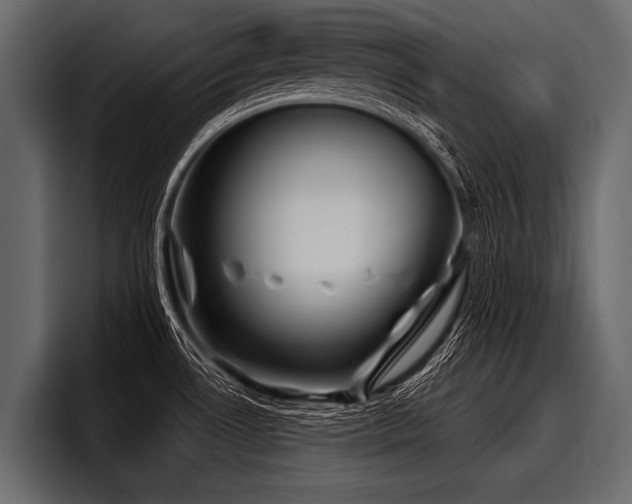 X0000097951530200803241143