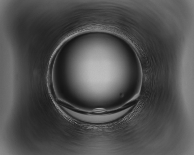 X0000097951531200803241143
