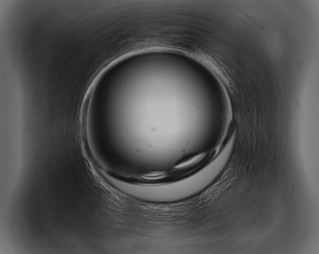 X0000097951532200803241143
