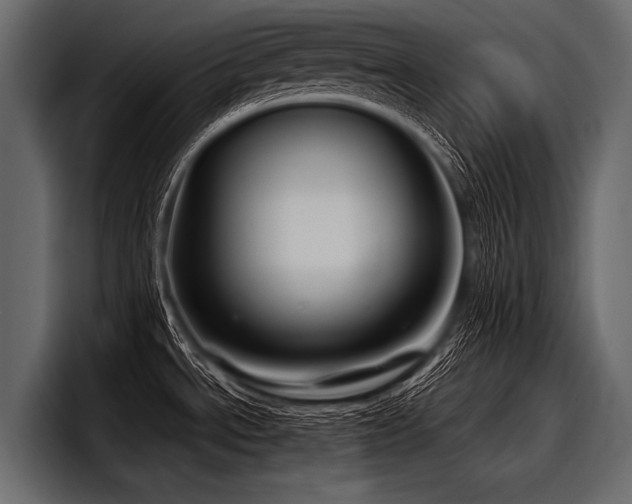 X0000097951534200803241143