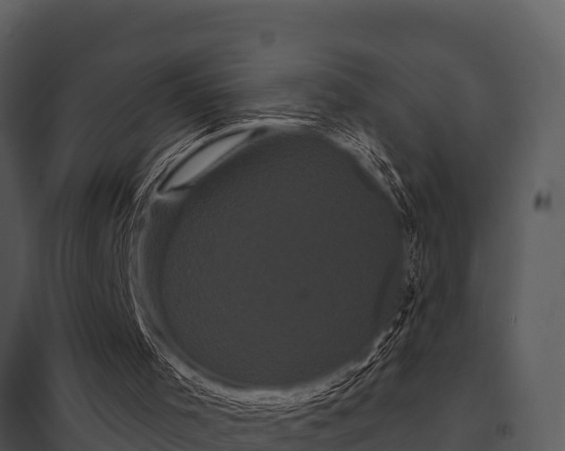 X0000097950001200804011646