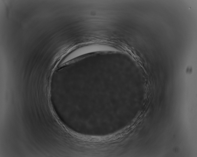 X0000097950002200804011646