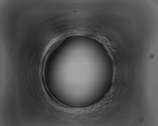 X0000097950003200804011646
