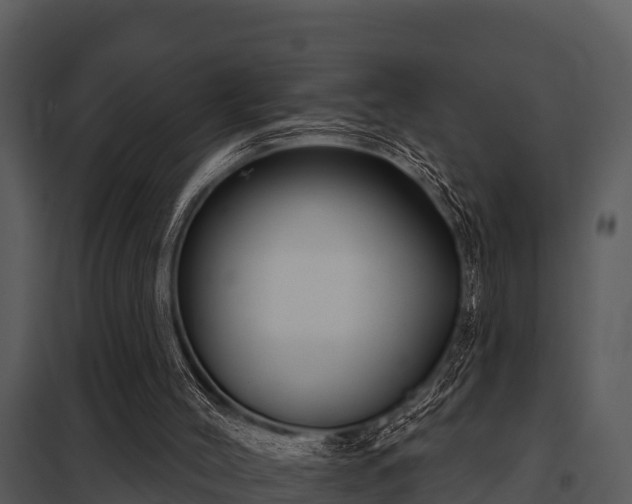 X0000097950004200804011645