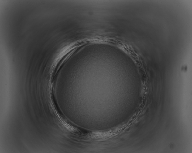 X0000097950005200804011645
