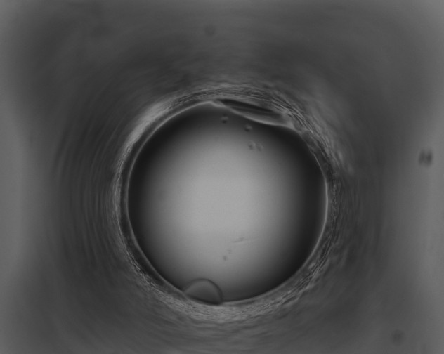 X0000097950006200804011645