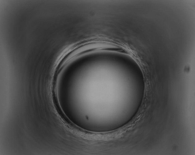 X0000097950007200804011645