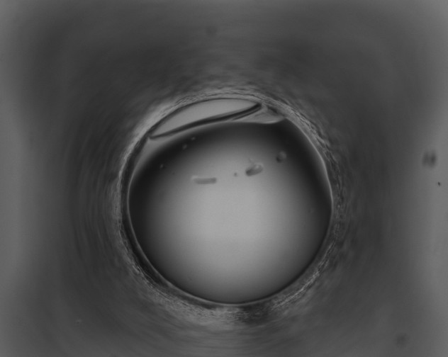 X0000097950008200804011645