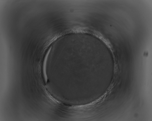 X0000097950009200804011645