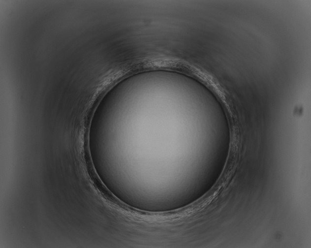 X0000097950010200804011645