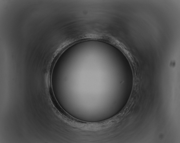 X0000097950011200804011645
