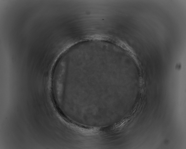 X0000097950012200804011645