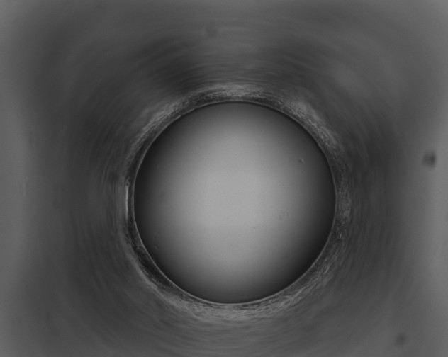 X0000097950014200804011645