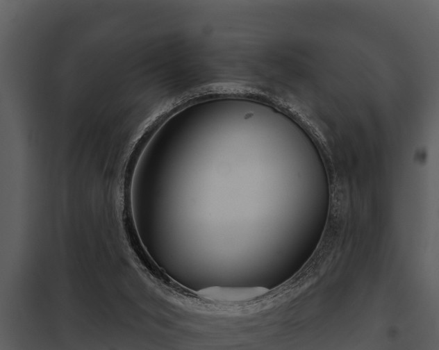 X0000097950015200804011645