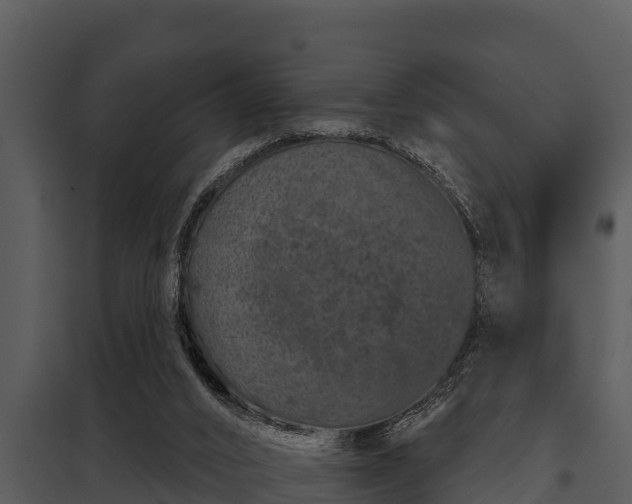 X0000097950016200804011645