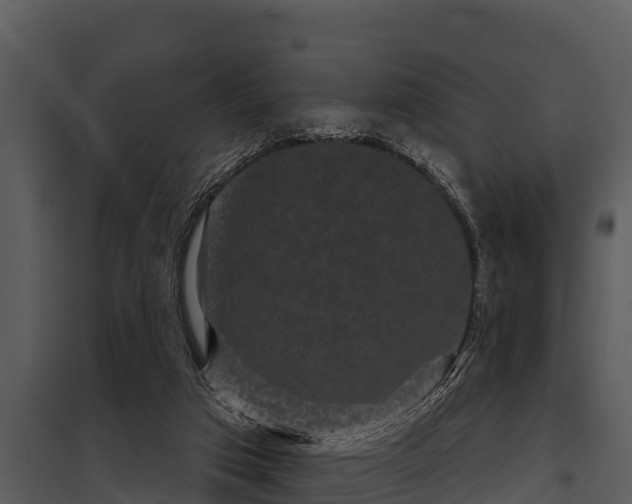 X0000097950017200804011645