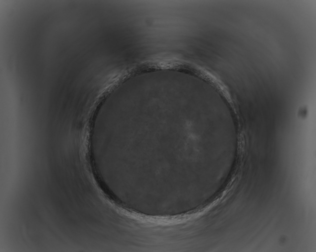 X0000097950018200804011645