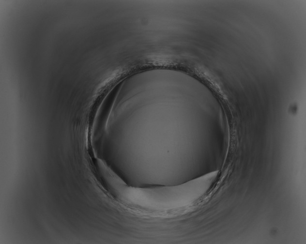 X0000097950019200804011645