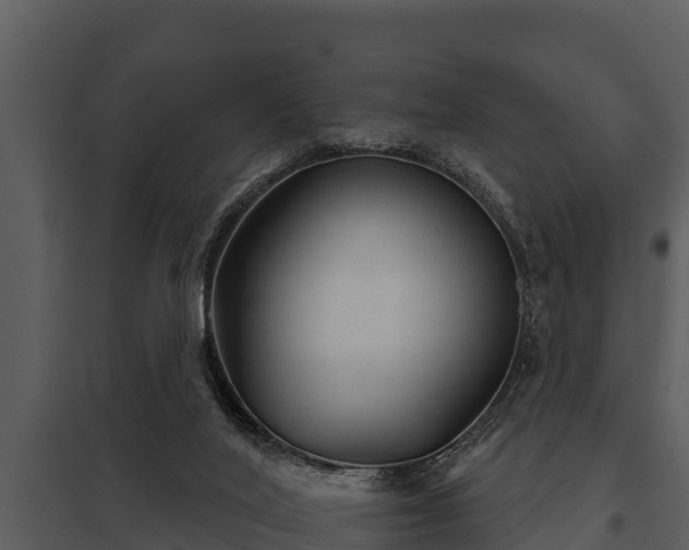 X0000097950020200804011645