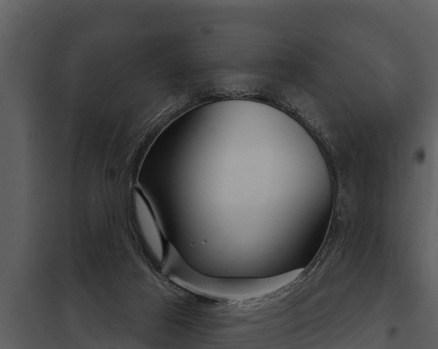 X0000097950021200804011645