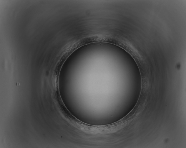 X0000097950022200804011645