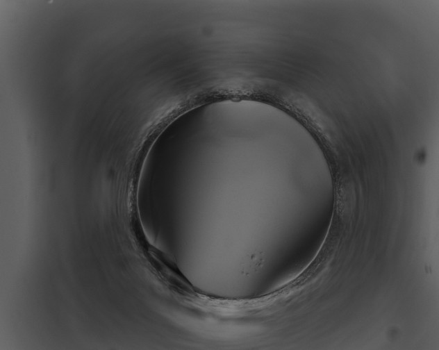 X0000097950023200804011645