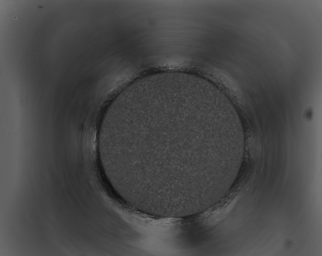 X0000097950024200804011645