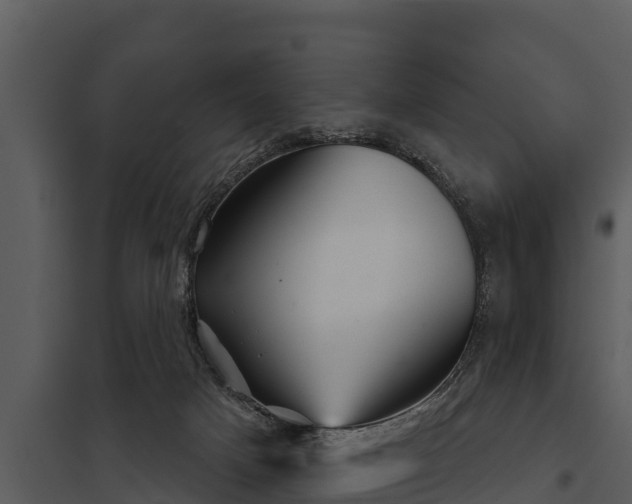 X0000097950025200804011645