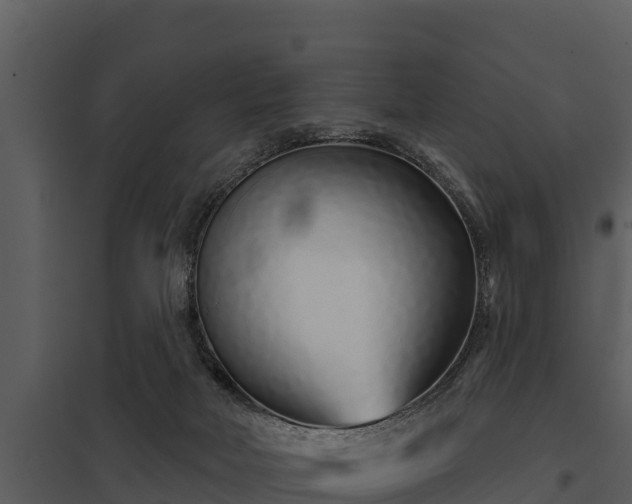 X0000097950026200804011645