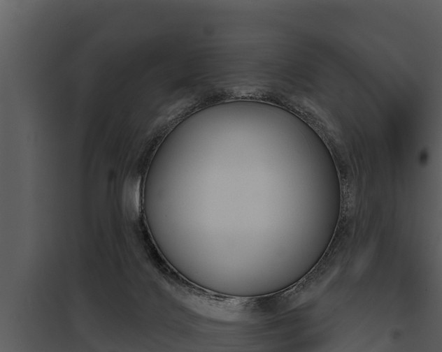 X0000097950028200804011645