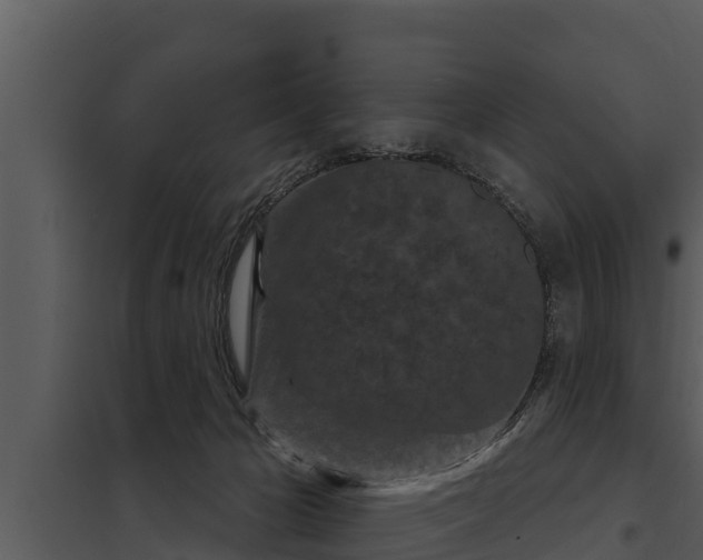 X0000097950029200804011645