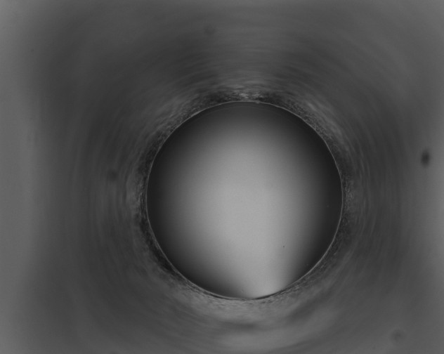 X0000097950030200804011645
